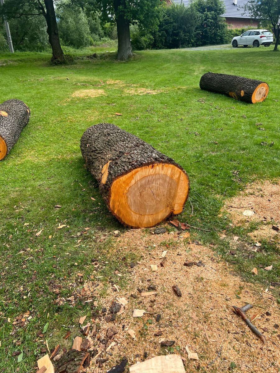Dřevo - Olše Šedá 3x 220cm kulatina