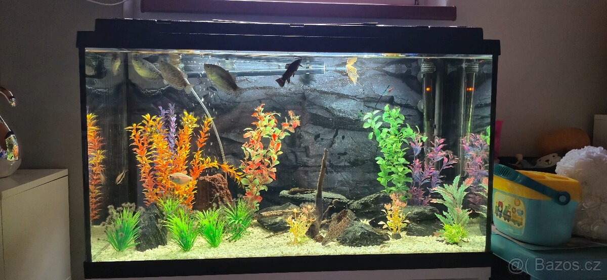 Akvarium 120l + prislusenstvi