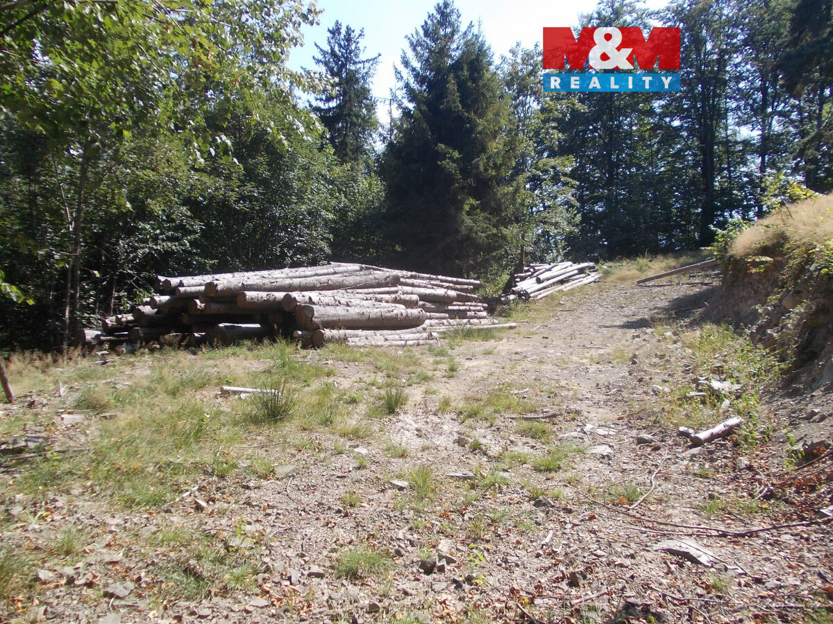 Prodej stavebního pozemku, 3955 m², Pstruží