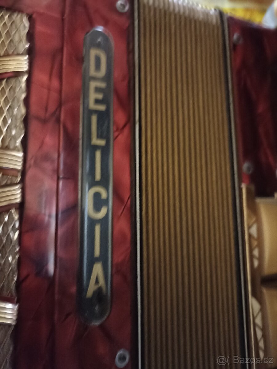Akordeon DELÍCIA -Melodia V