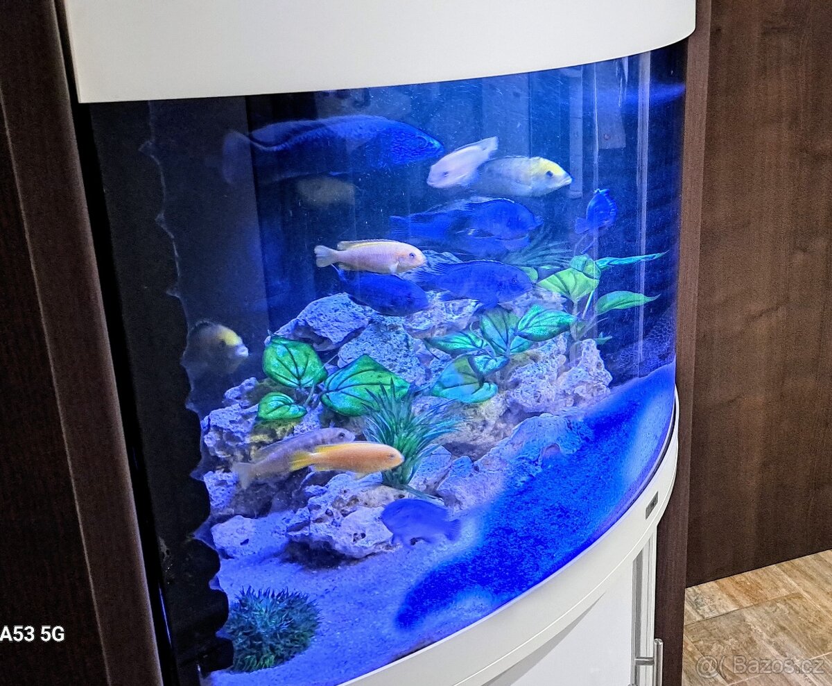 Akvarijní set Juwel Trigon LED 190 l