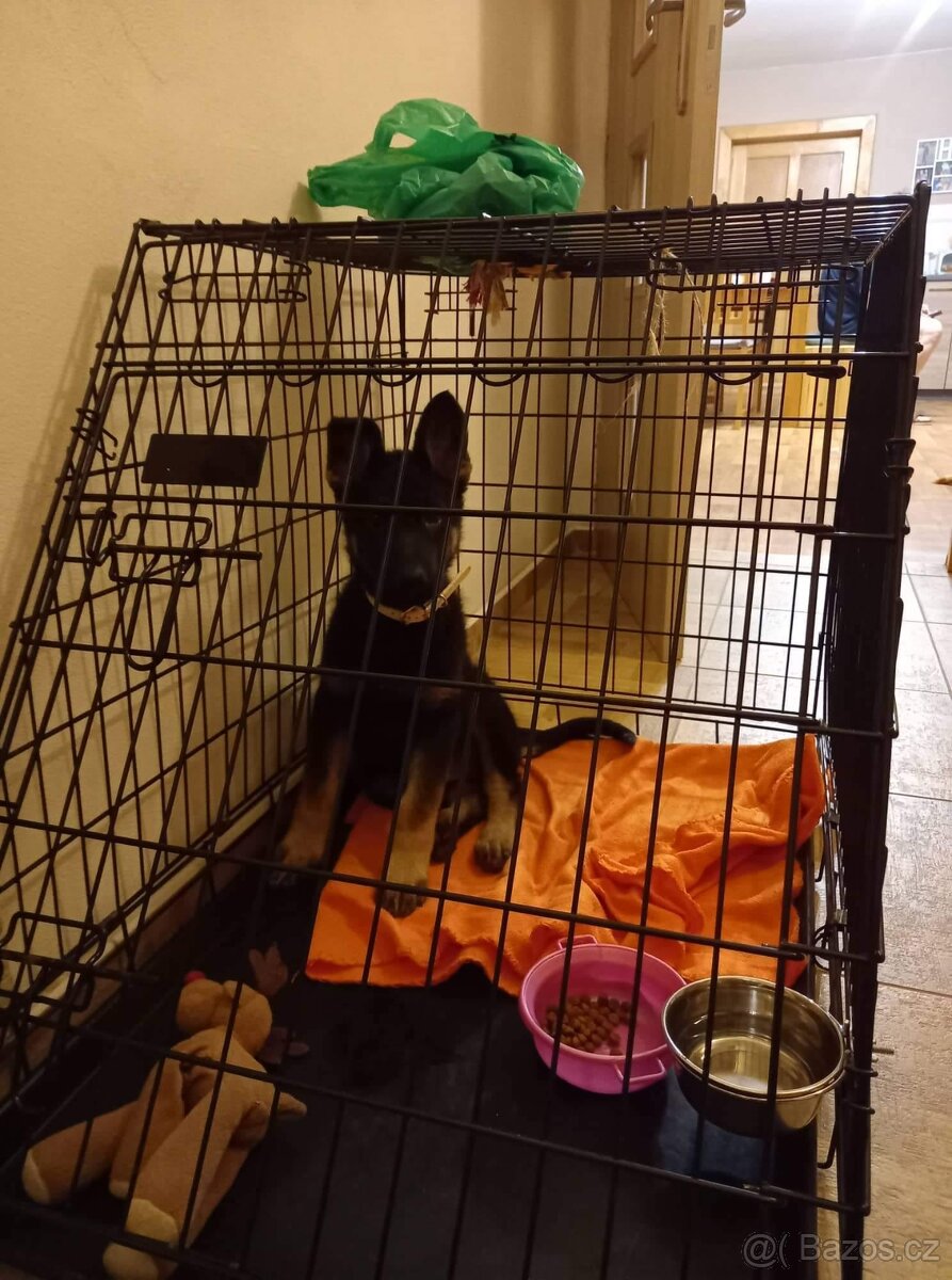 Klec do auta  na psa