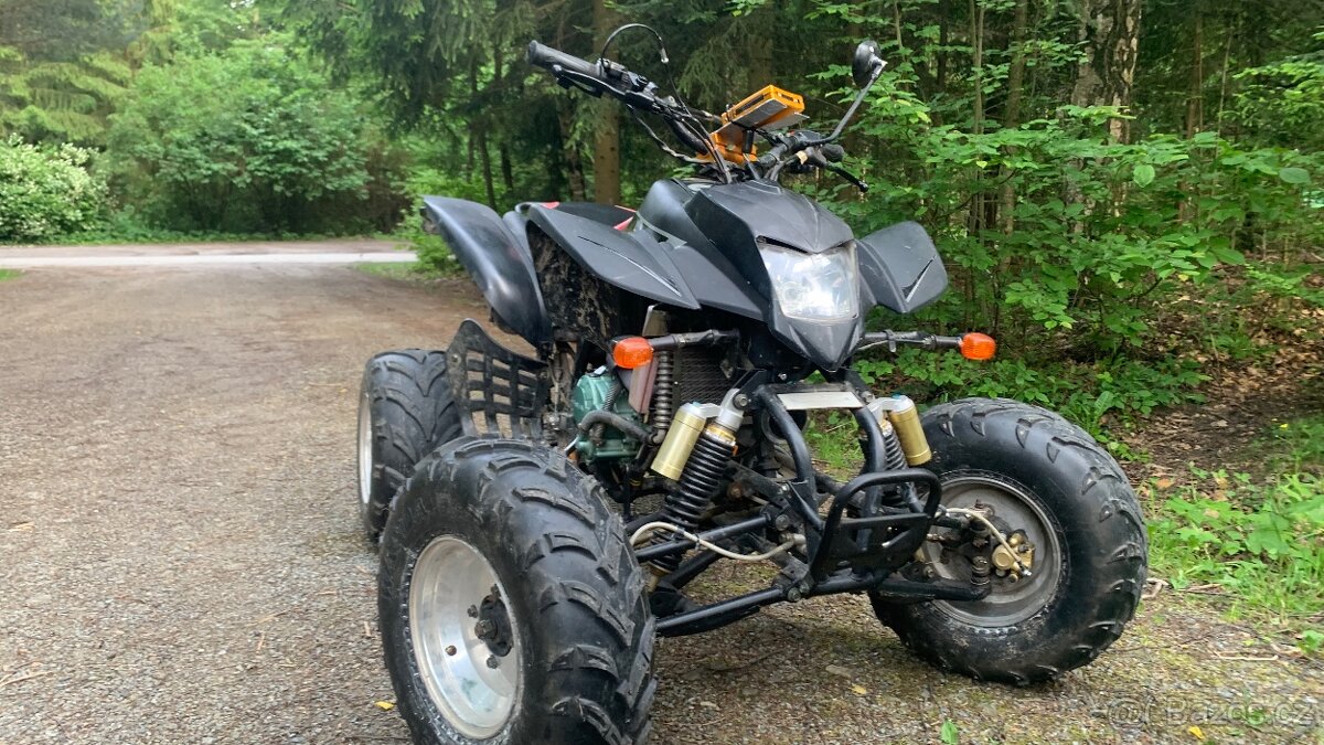 Bashan 200