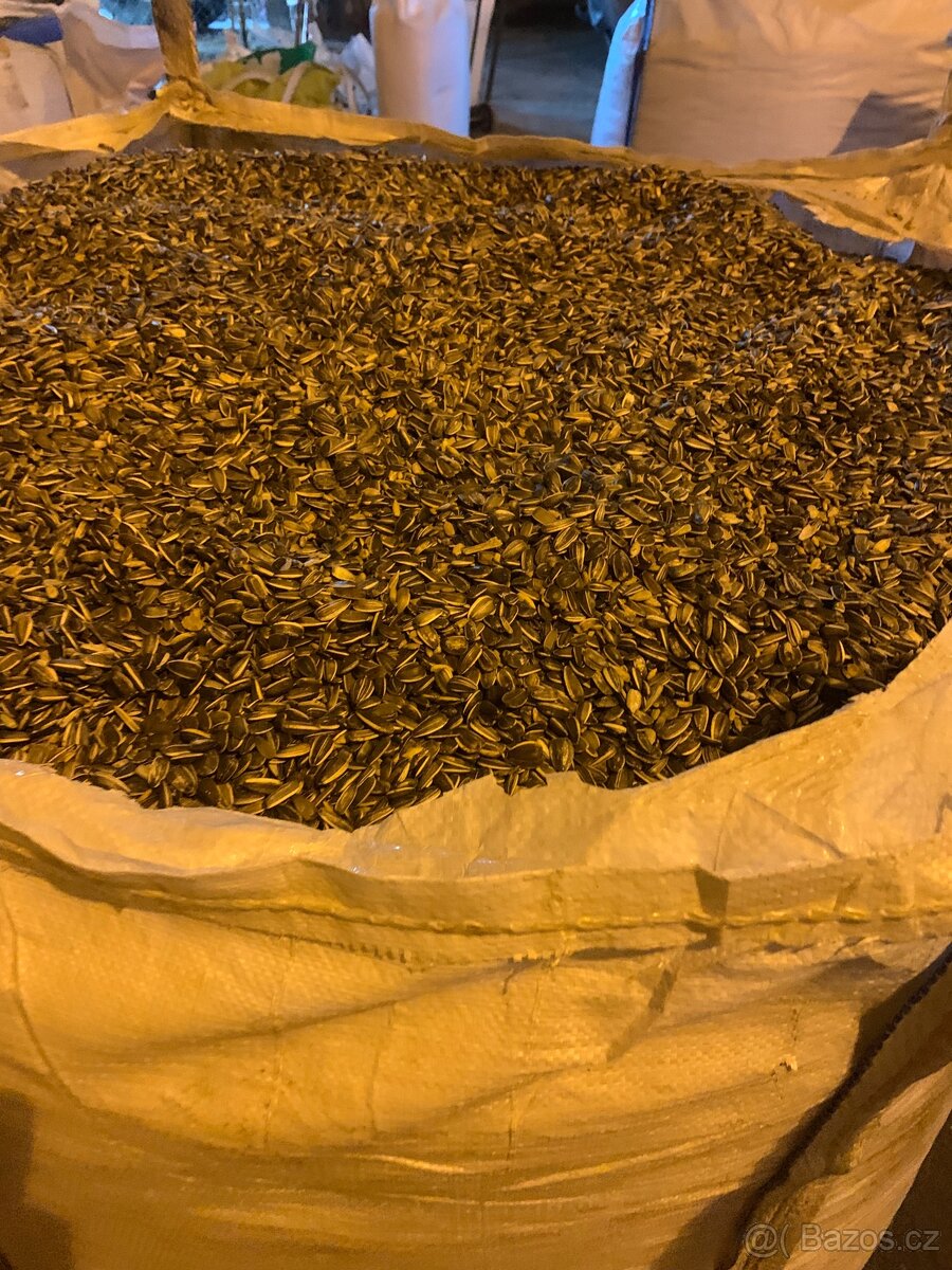 Slunečnice žíhaná, vše čištěné