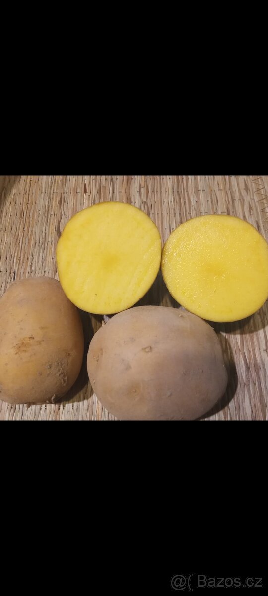 BIO Brambory