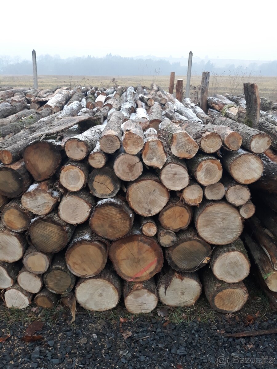 Palivové dřevo tvrdé