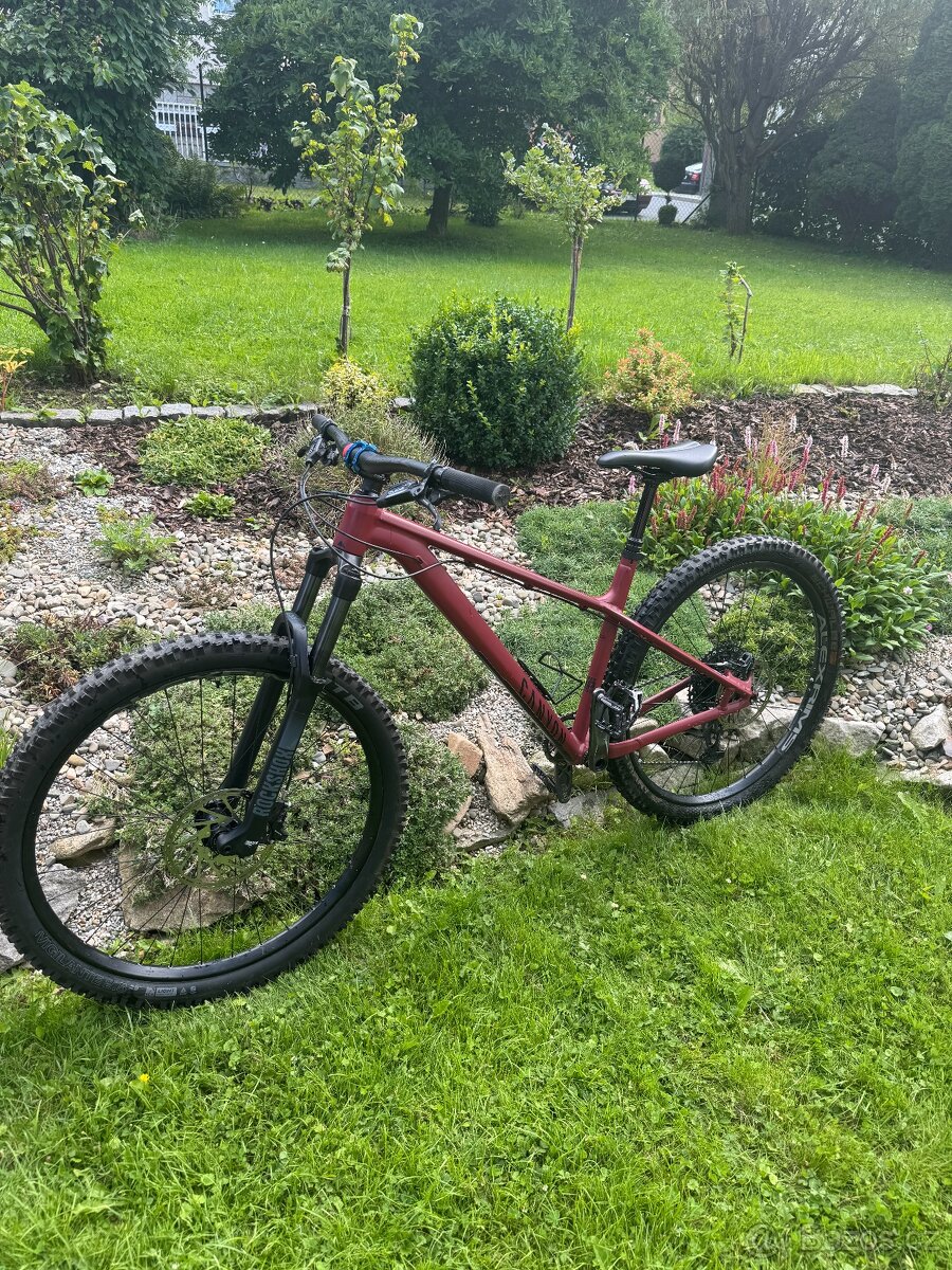 Canyon Stoic 3 vel. L