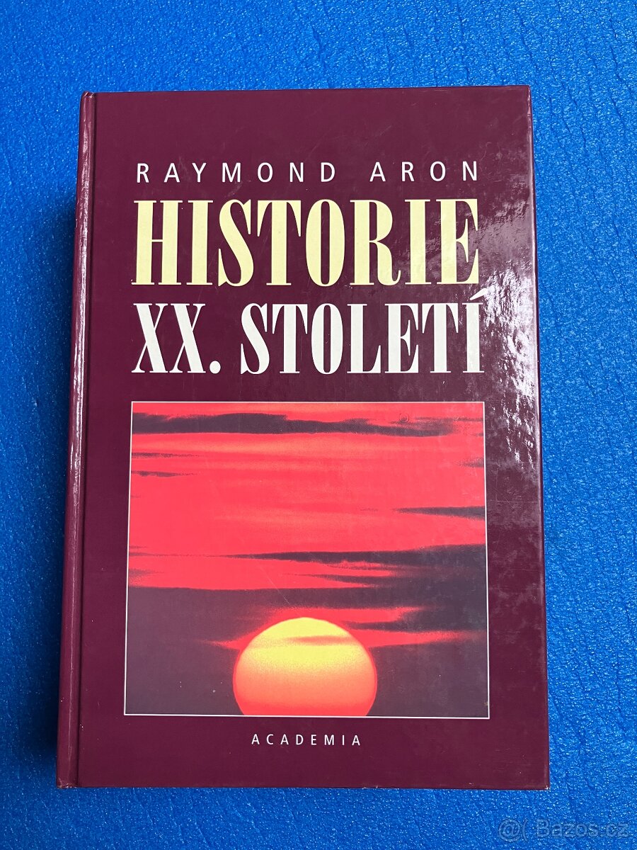 Raymond Aron Historie XX. století