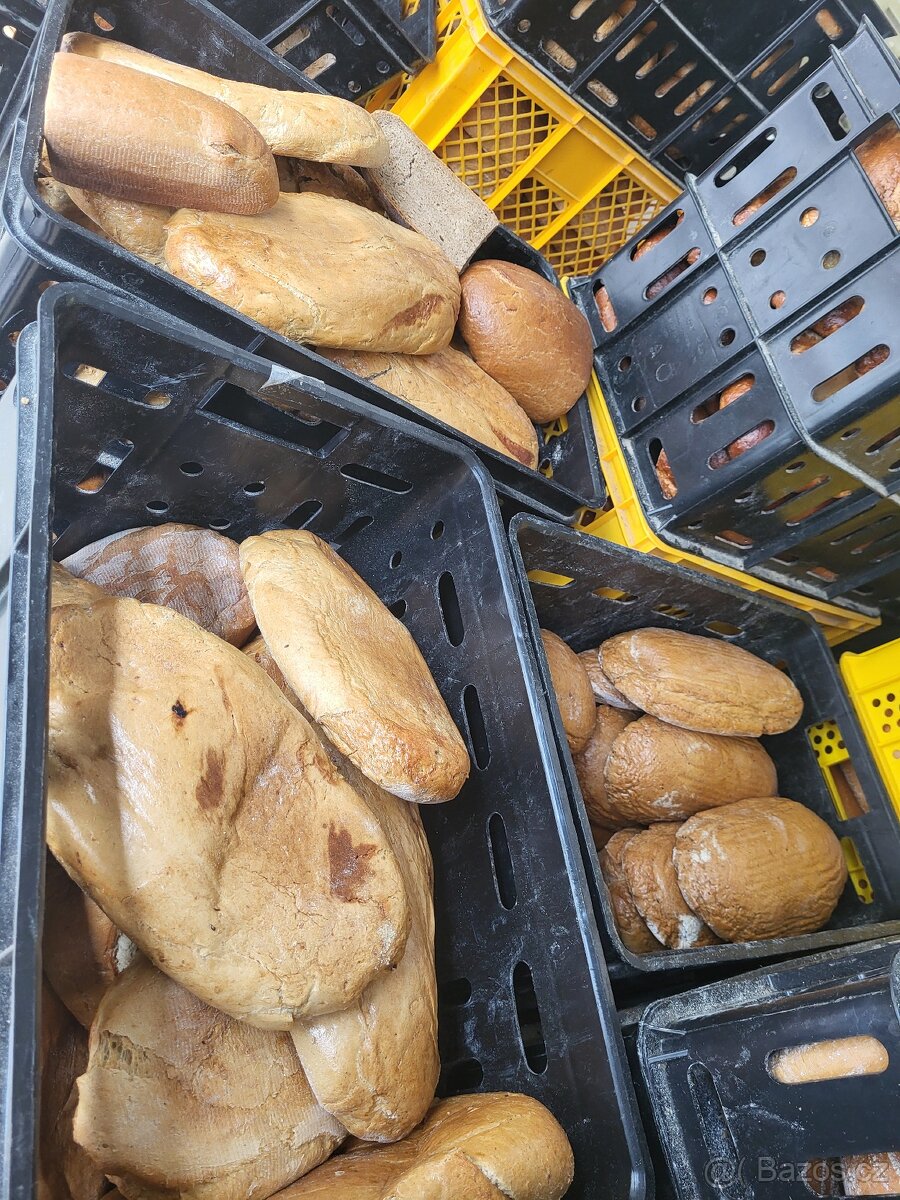 Krmné pečivo pro zvířata