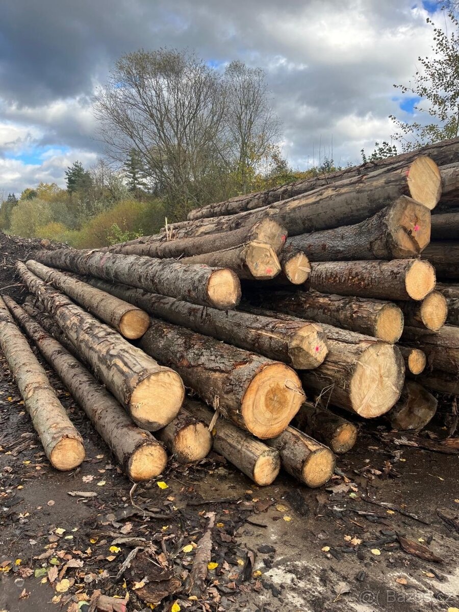 Koupím dřevo