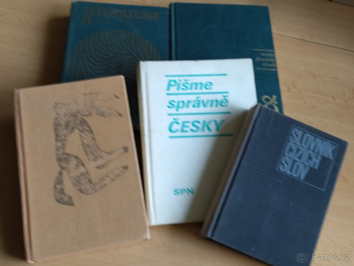 Čeština, slovník cizích slov