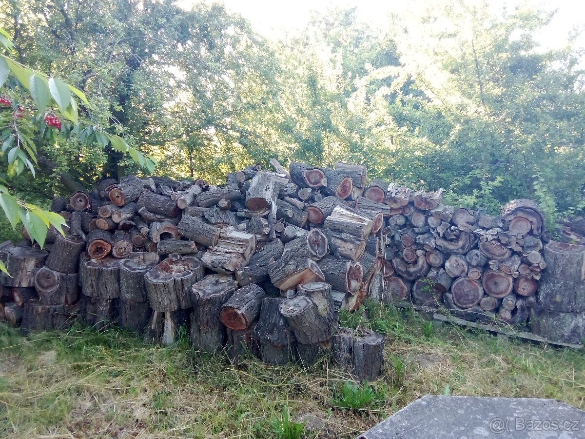Dřevo na uzení suché