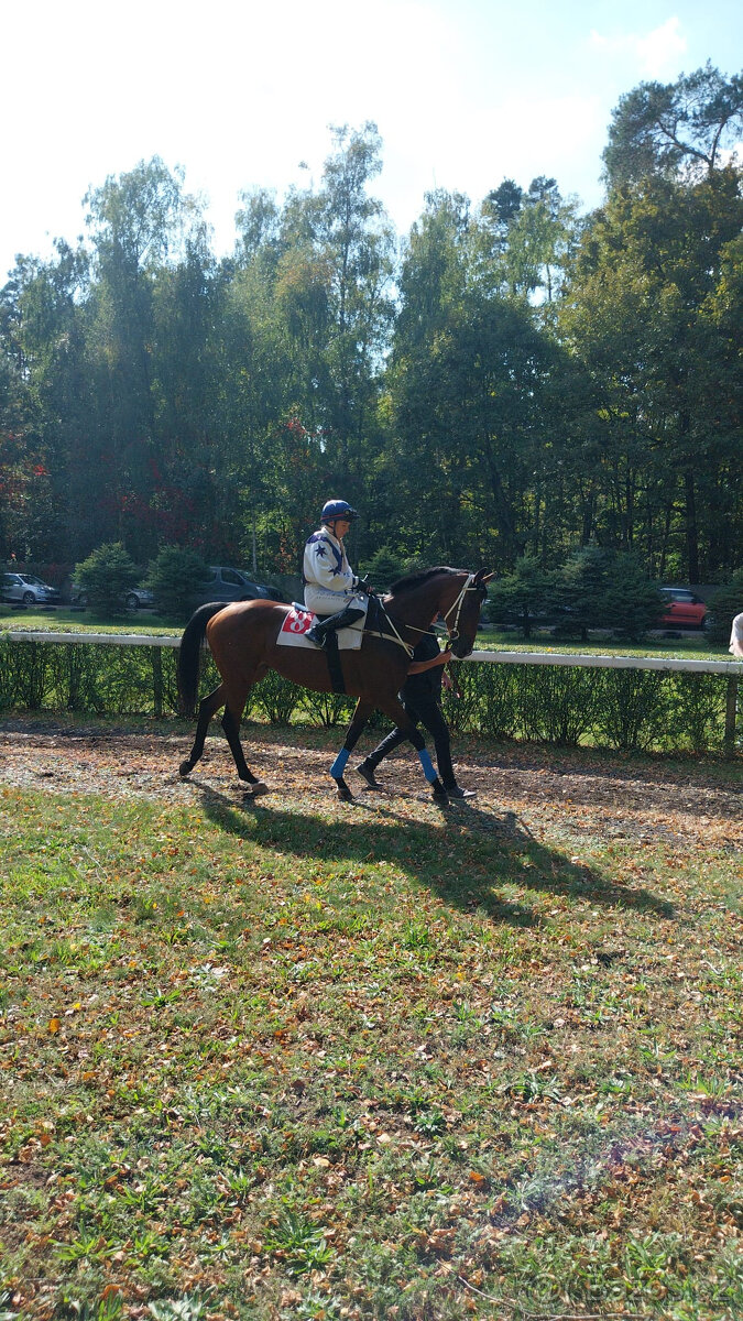 A1/1 na rekreaci nebo do sportu
