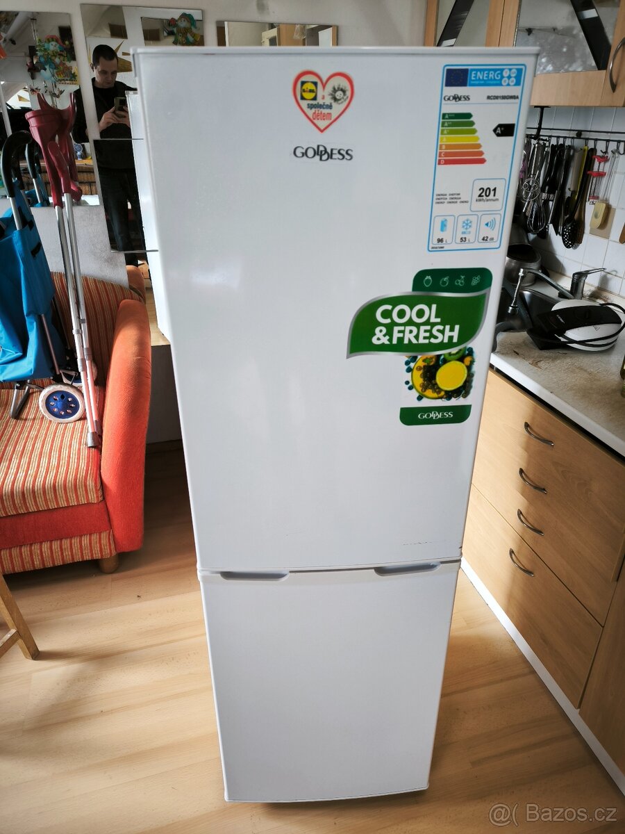 Lednice s mrazákem ETA Goddess