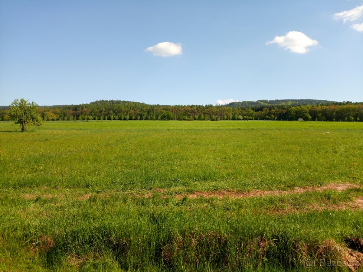 Prodej pozemku k bydlení, 1298 m²