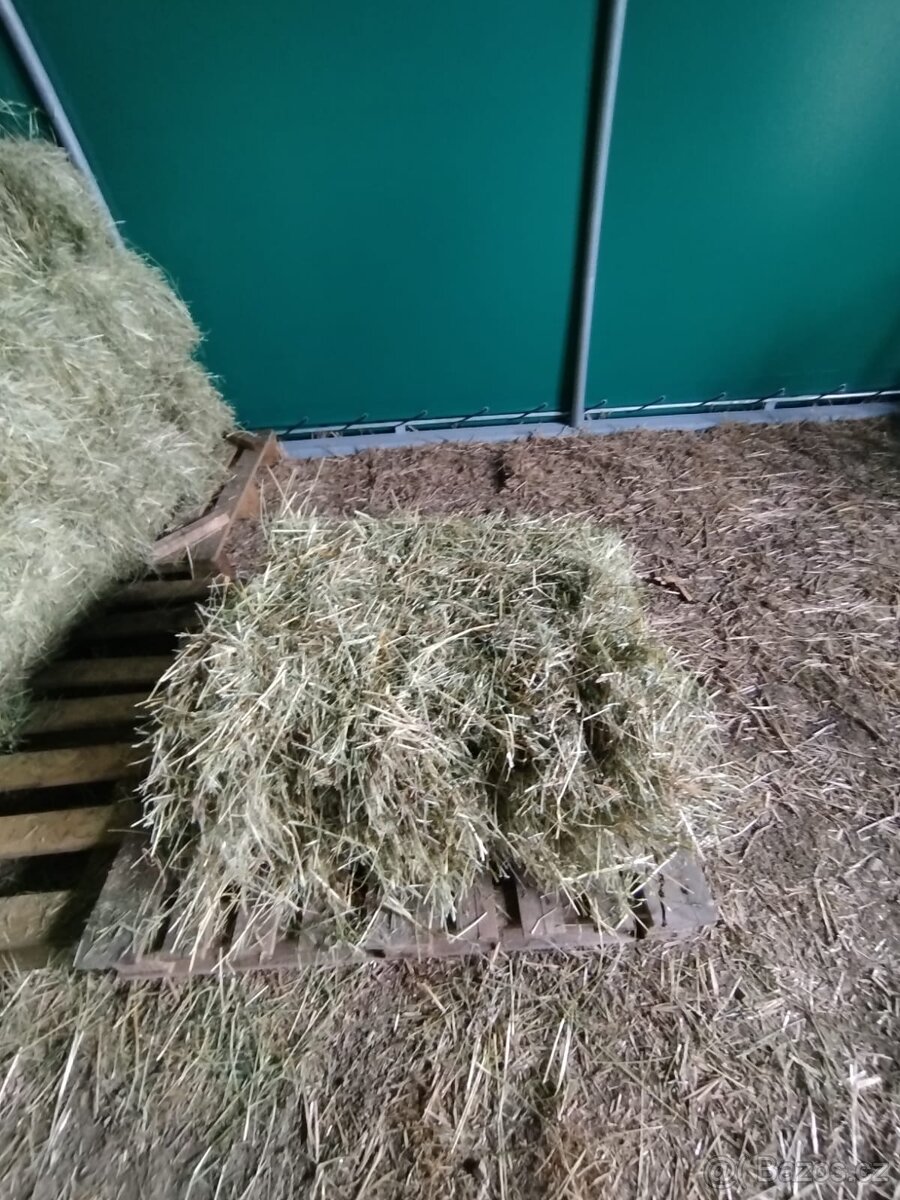 Prodám letošní seno v malých balících