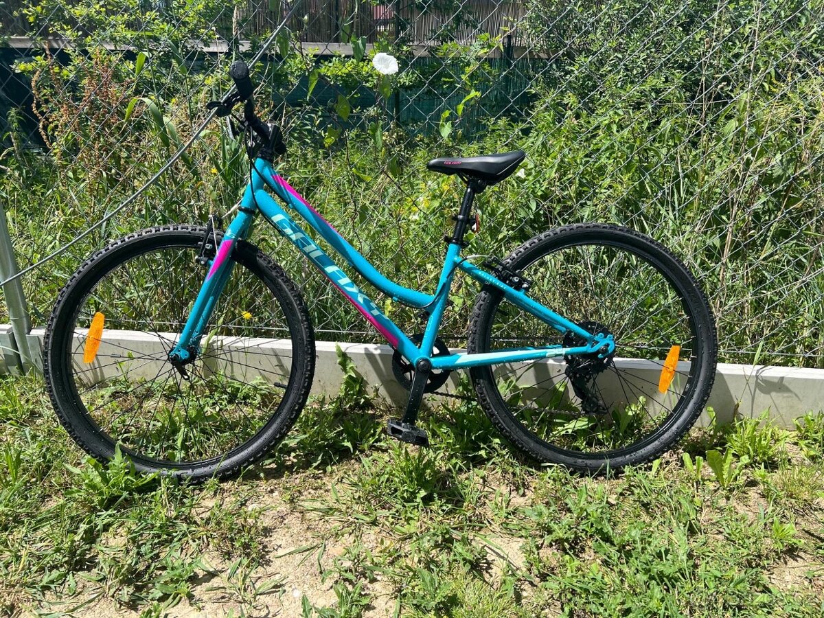 Dívčí kolo GALAXY RUBY 24”
