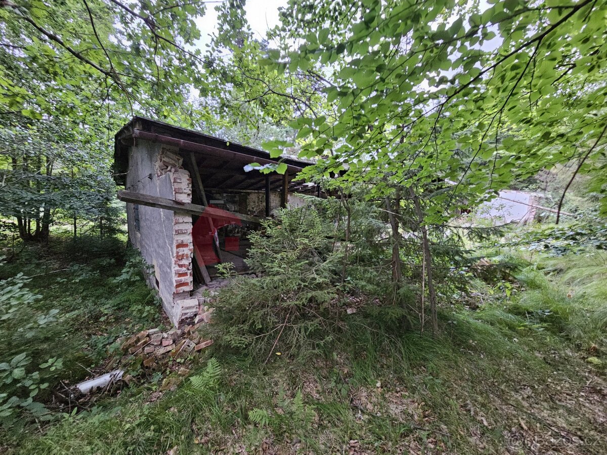 Prodej pozemku se stavbou / chatou 330m2 v Mikulovicích u Je