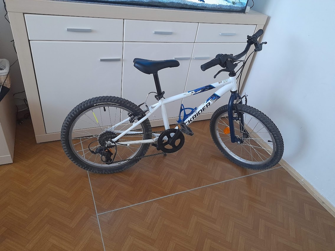 Rockrider 20"