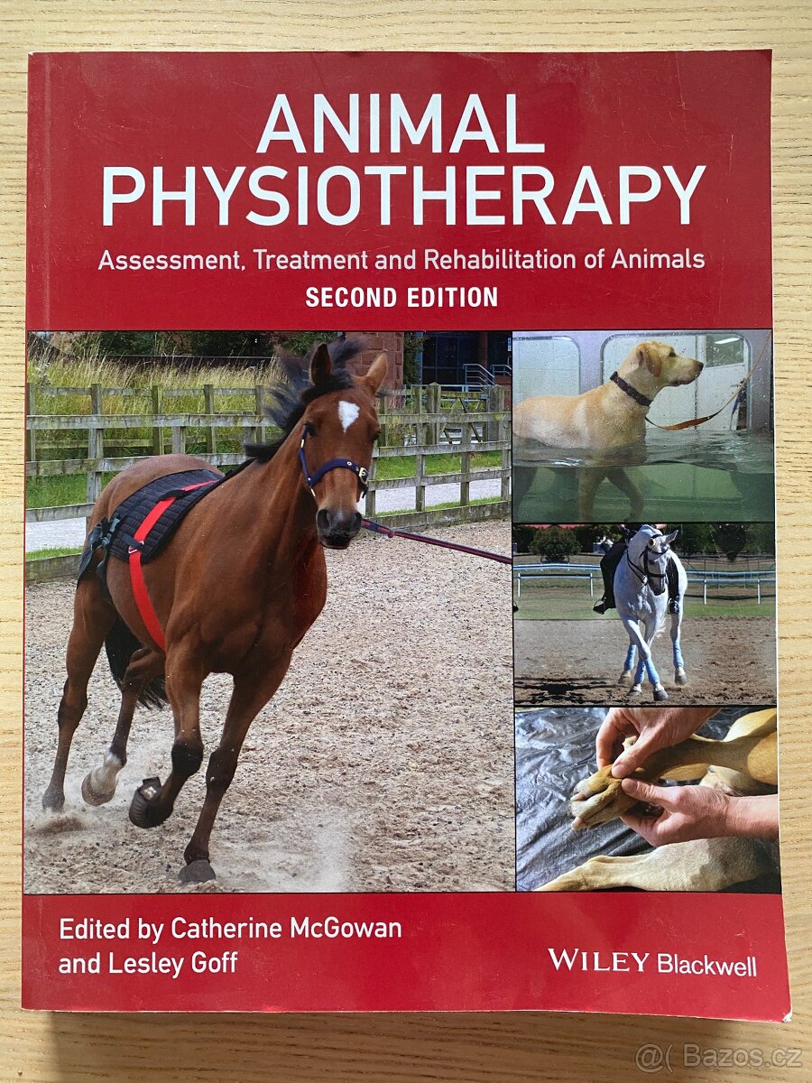 Animal Physiotherapy