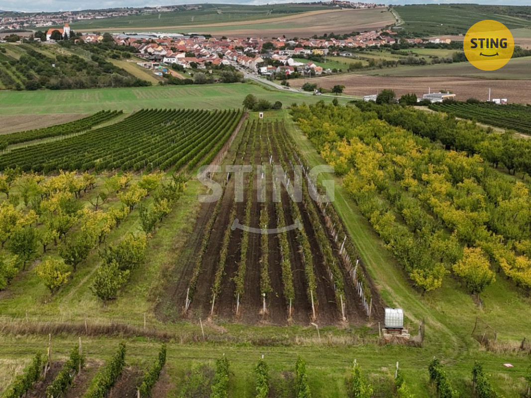 Prodej pozemku - vinohradu, 5412 m2, Velké Pavlovice, 133480