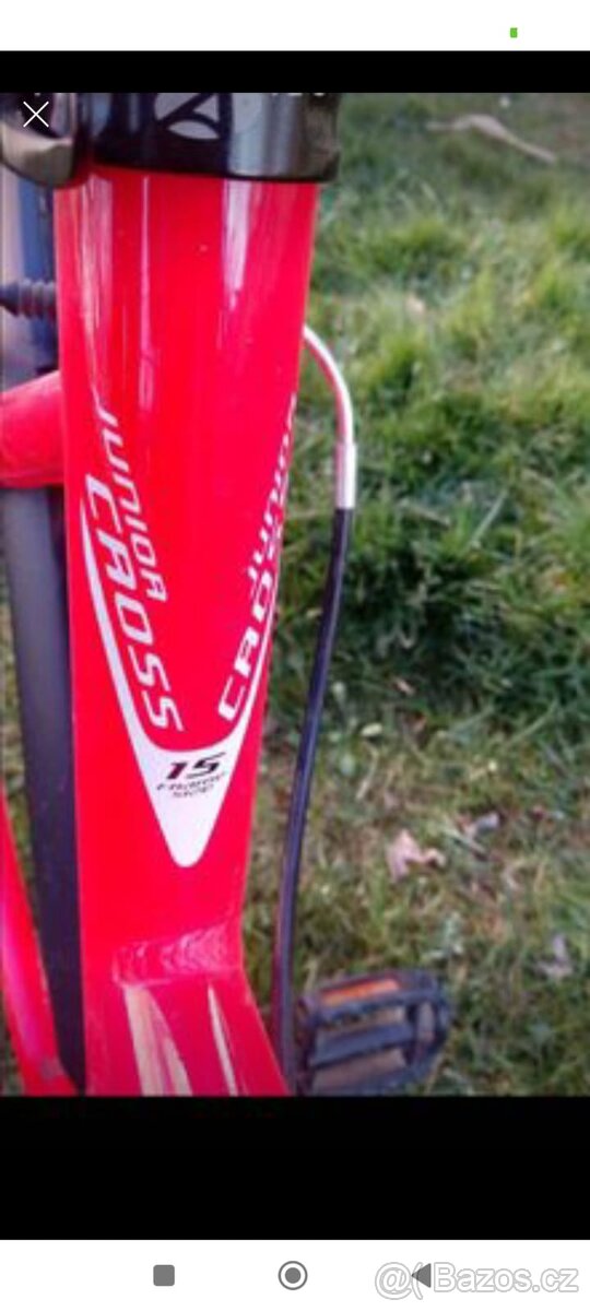 Author Junior Cross 15