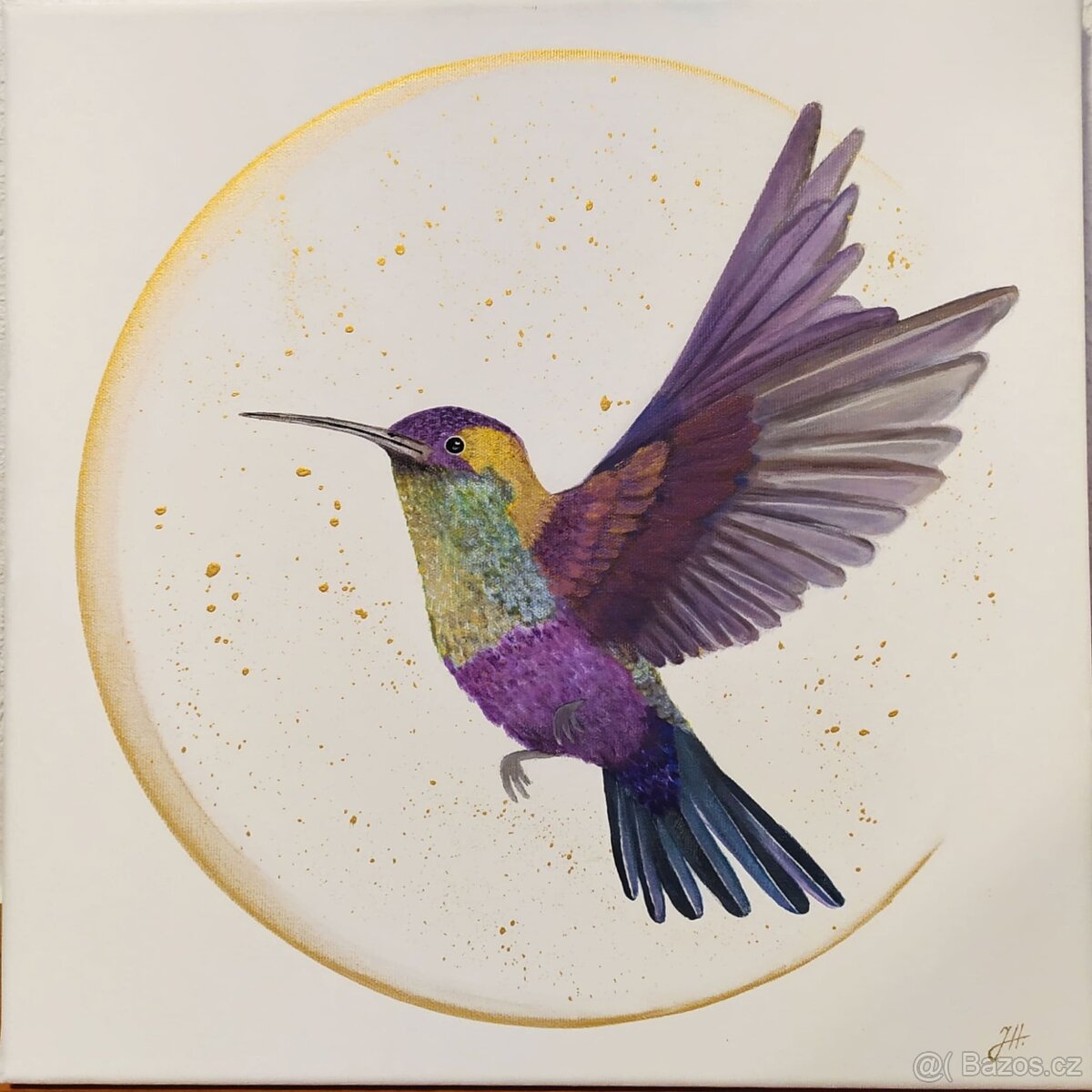 Energetická obraz kolibříka