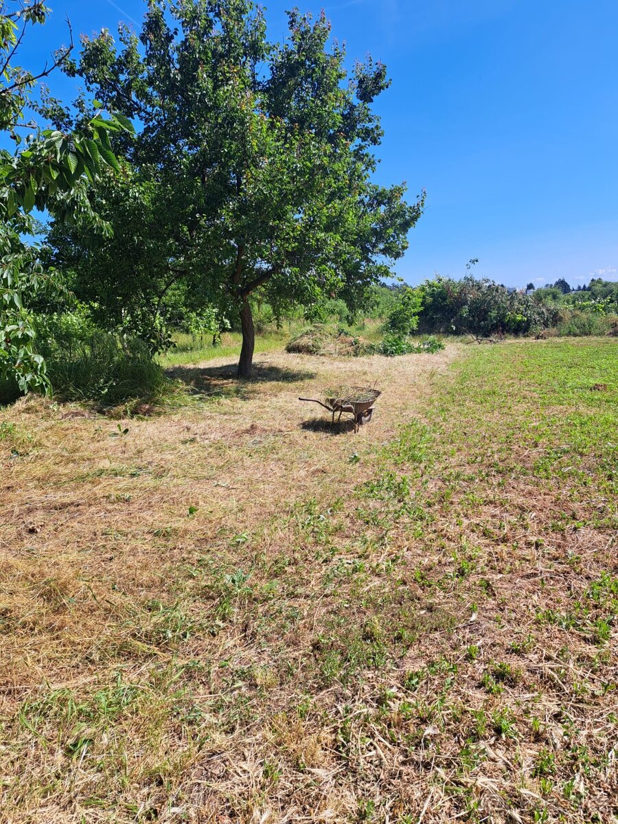 Zemědělská půda ve vinařské trati Těšické búdy