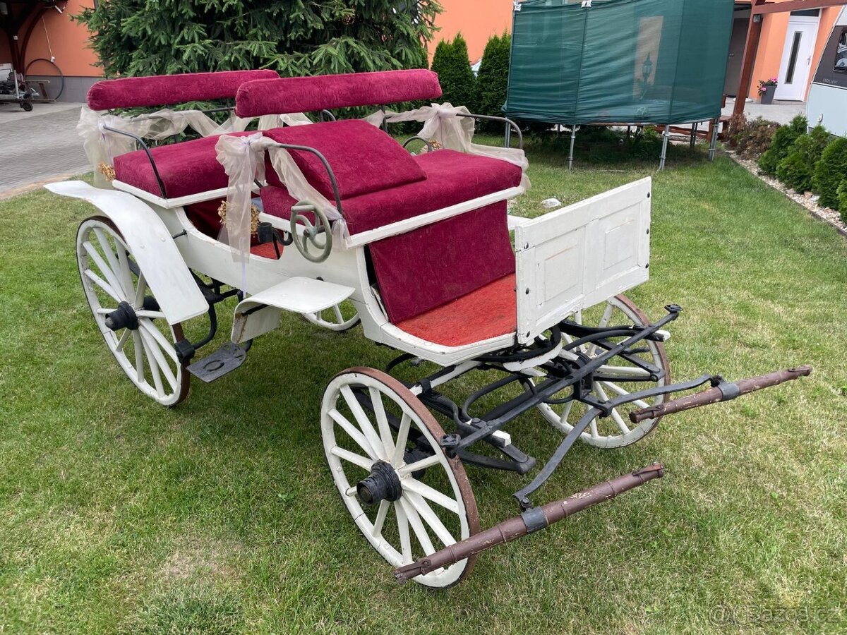 KOČÁRY, BRYČKY ZA KONĚ