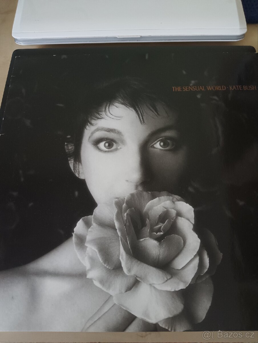 PRODÁM LP VINIL DESKU KATE BUSH