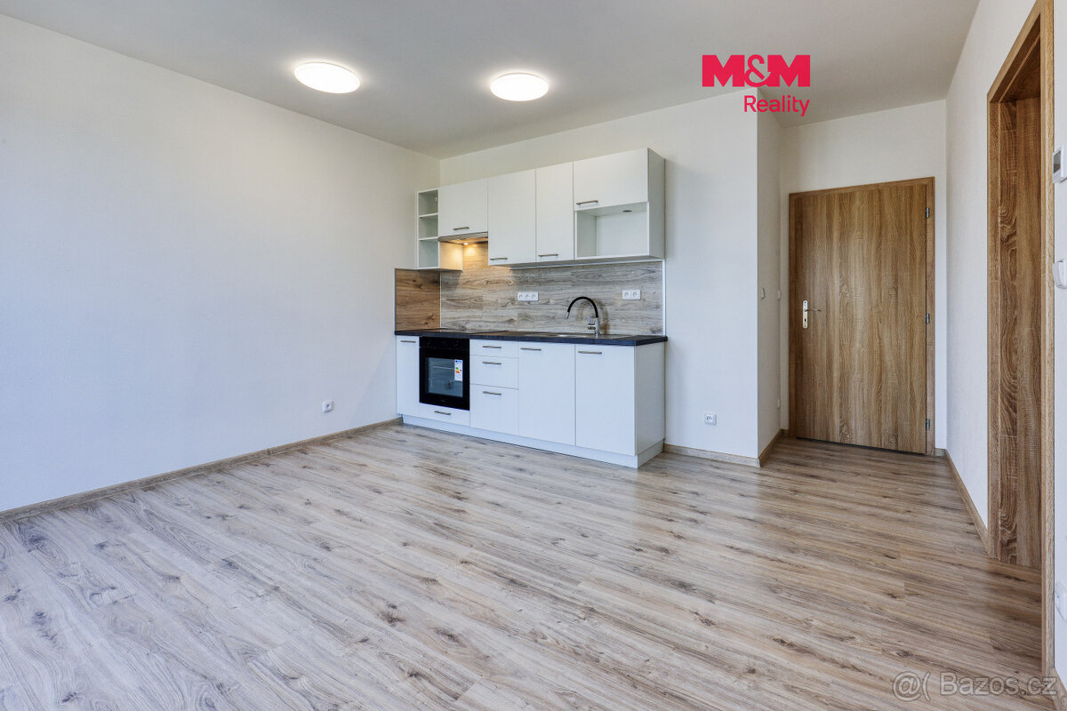1-room apartment for rent · 30 m² · Plzeň — 330 €/mo
