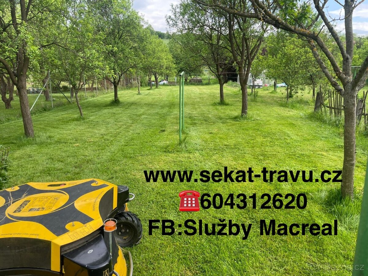 Sekání trávy