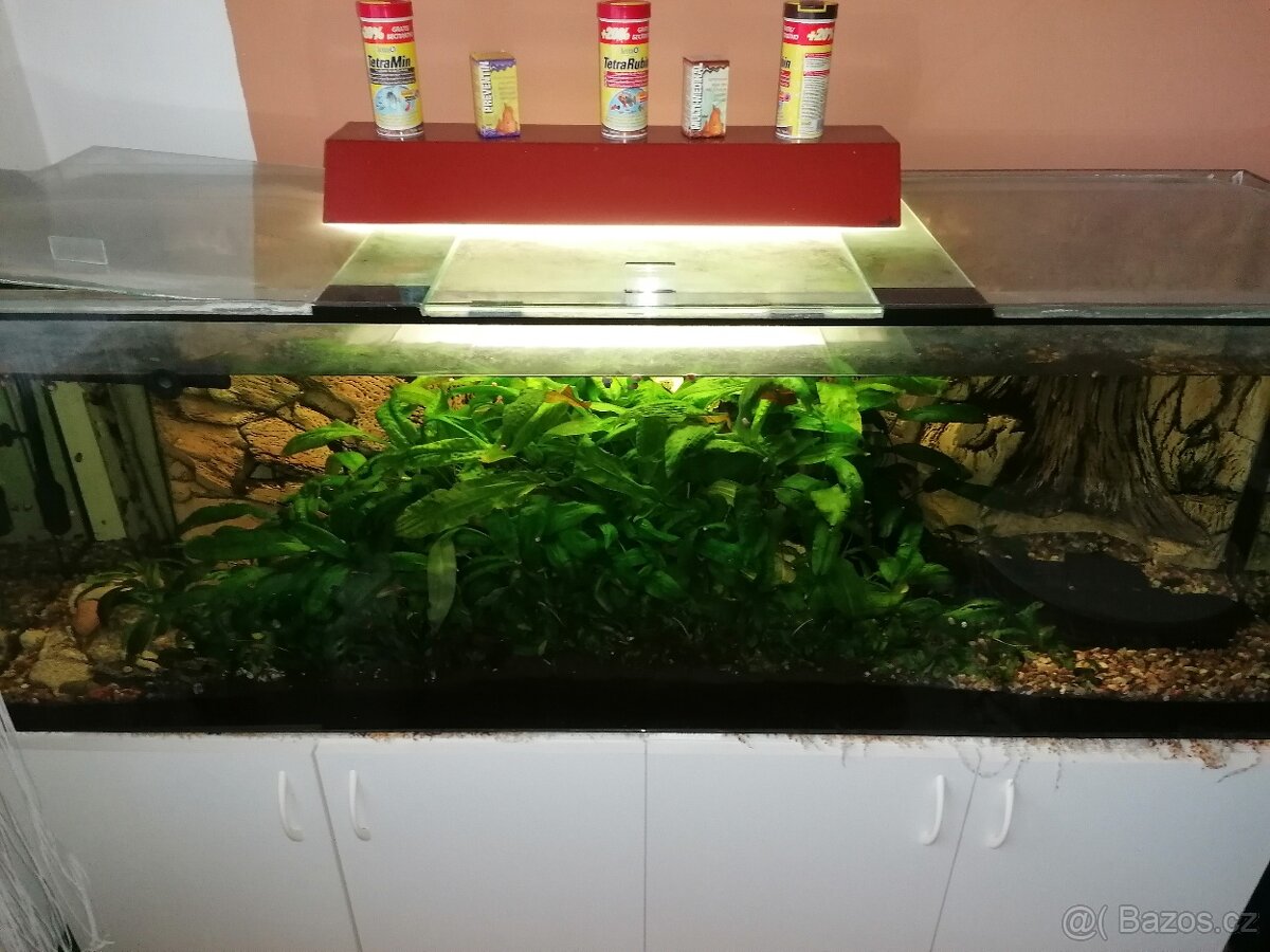 Prodám akvárium 480 litrů