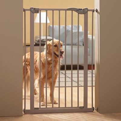 Dog Barrier