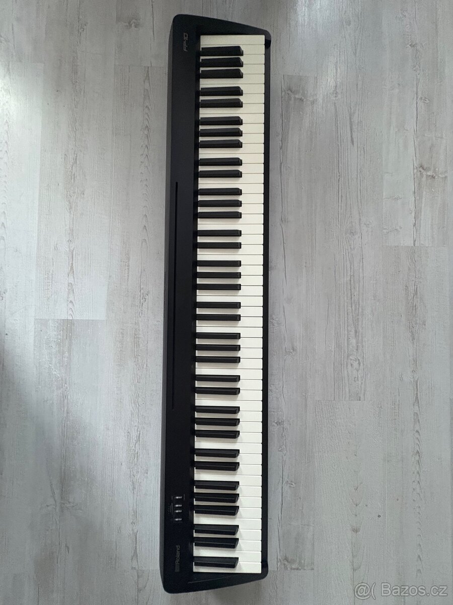 Roland FP-10