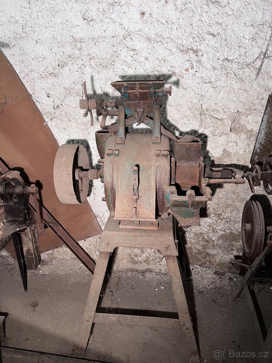 Šrotovník kameninový