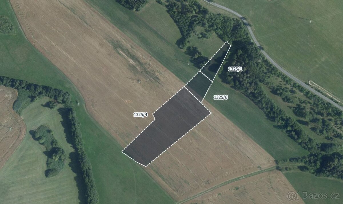 Zemědělská půda, prodej, Skuteč, Chrudim