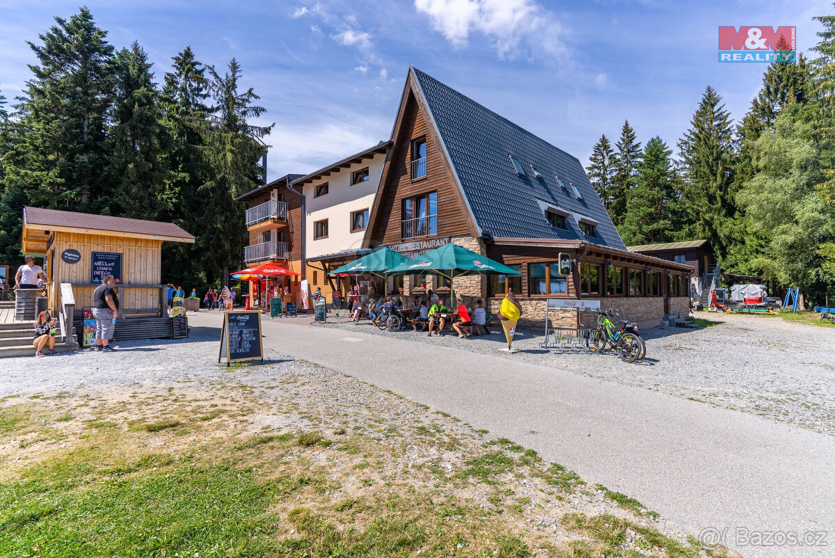 Prodej hotelu, penzionu, 1200 m², Lipno nad Vltavou