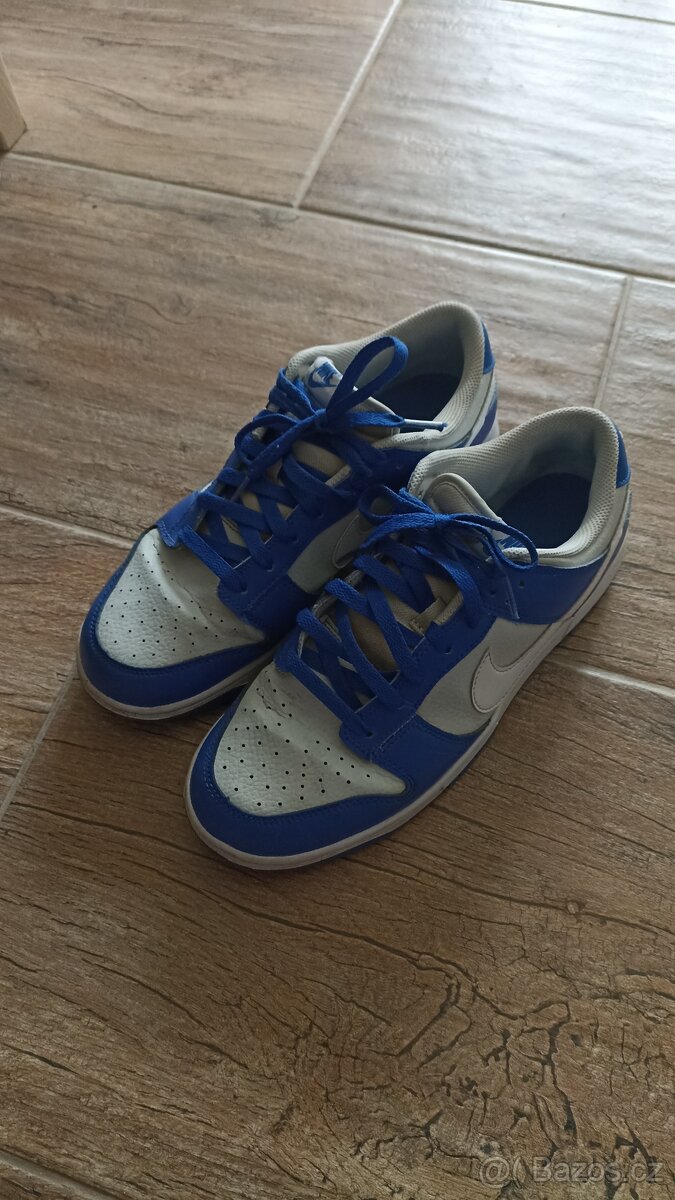 Nike dunk low