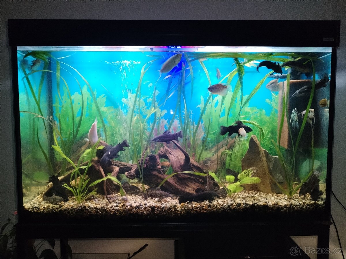 Prodám akvárium