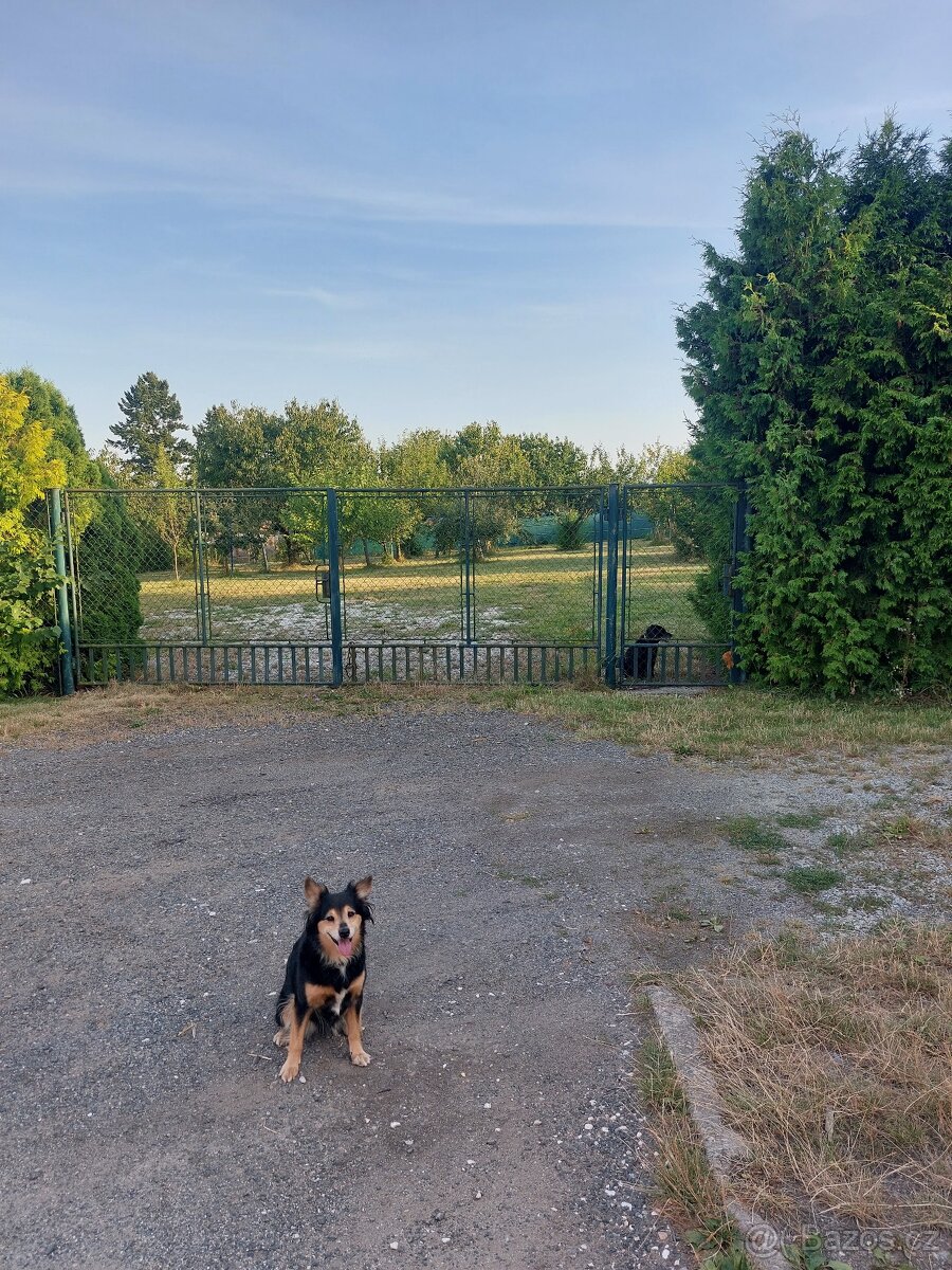 Prodej stavebního pozemku Blatná, možno 2 parcely