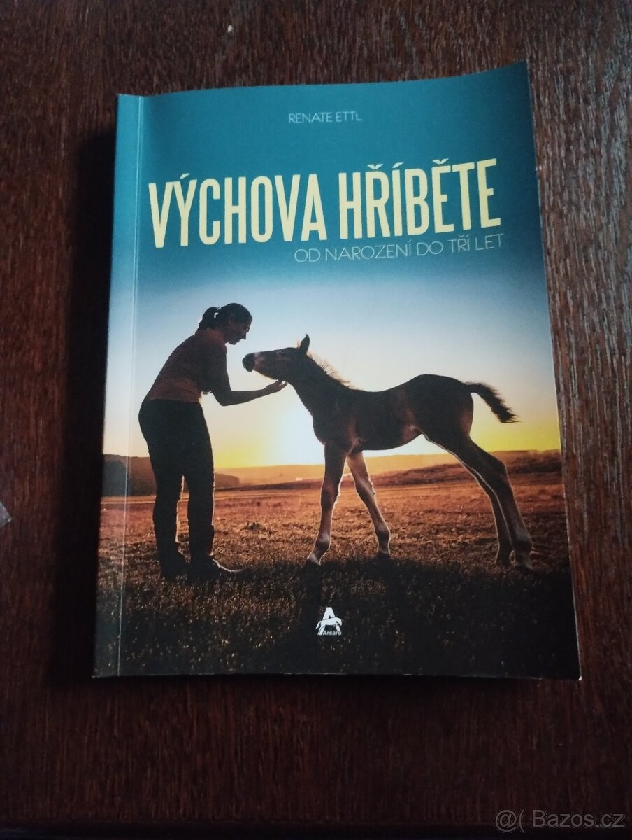 Výchova hříběte