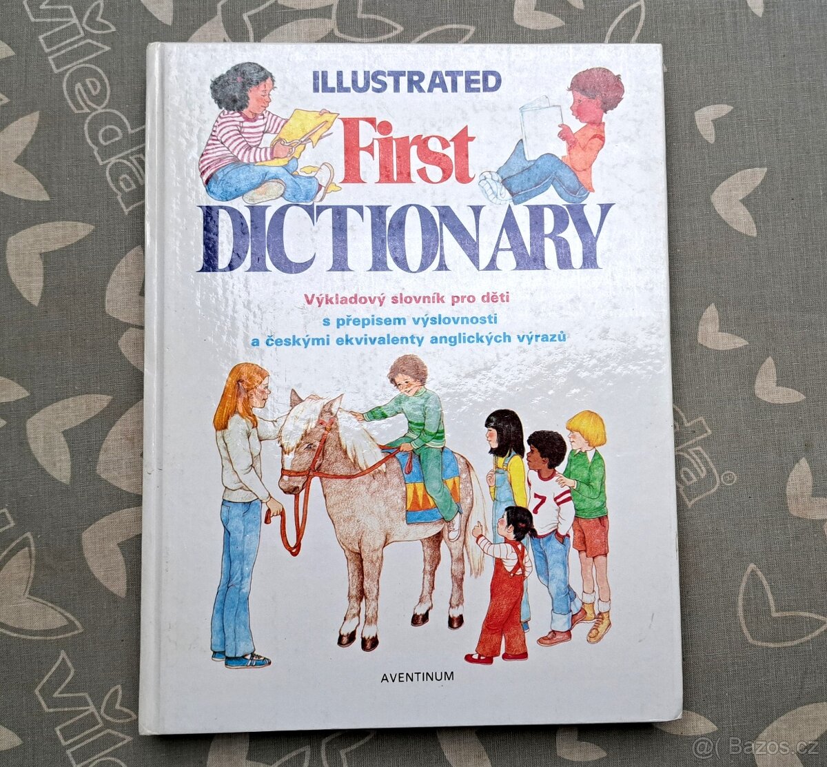 Illustrated first dictionary