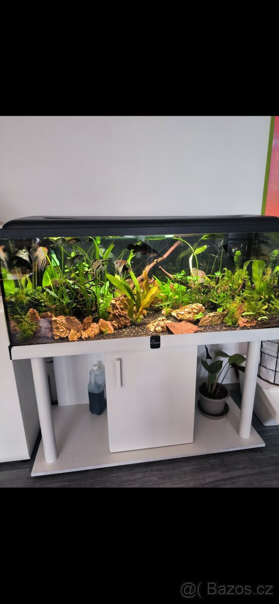 Akvárium diversa 300l