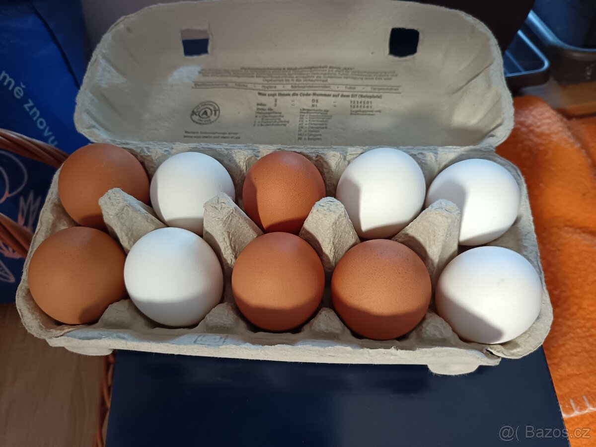 Domácí slepičí vajíčka