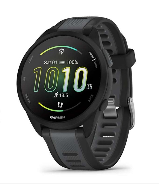GARMIN FORERUNNER 165 MUSIC - NOVE