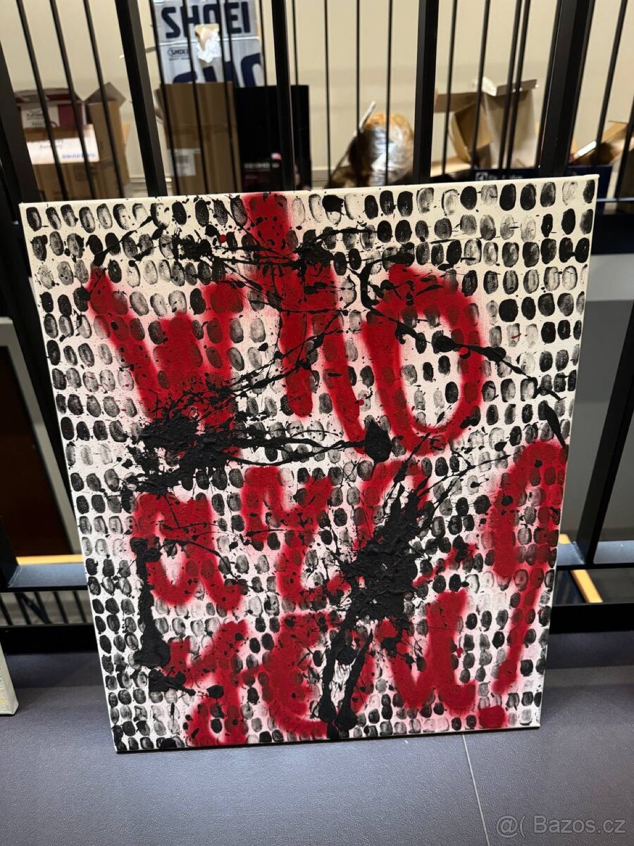 Obraz Who are you ? 50x60 cm