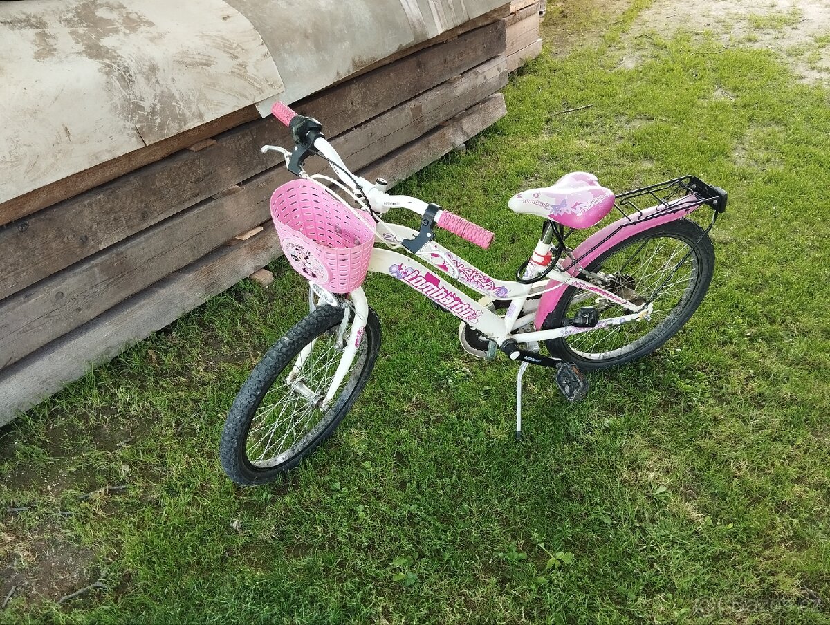 Dětské kolo 20