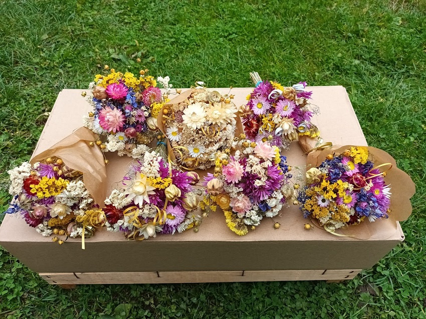 Sušené květiny č.4.