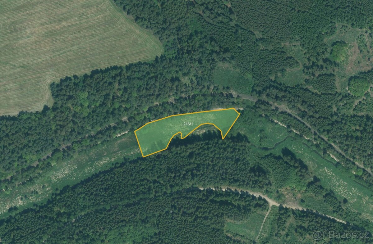 Louka, prodej, Skviřín, Bor, Tachov